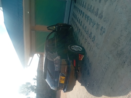 Harrier new