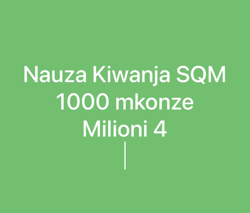 Nauza Kiwanja Sqm 1000 Dodoma