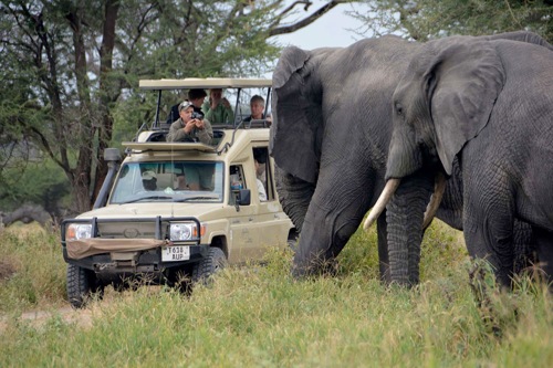 6 Days Tanzania Budget Camping Safari