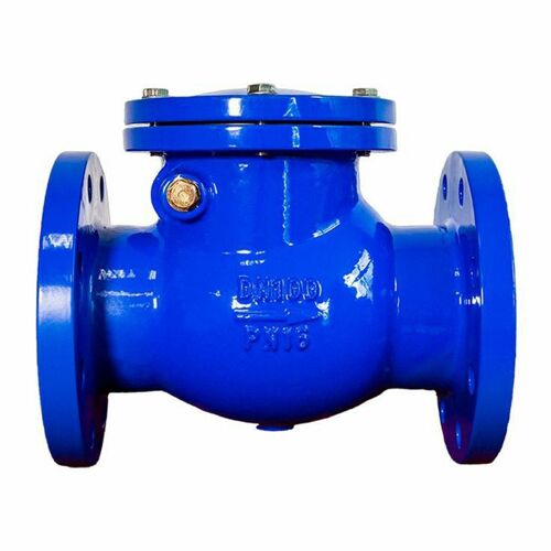 Non Return Valve 