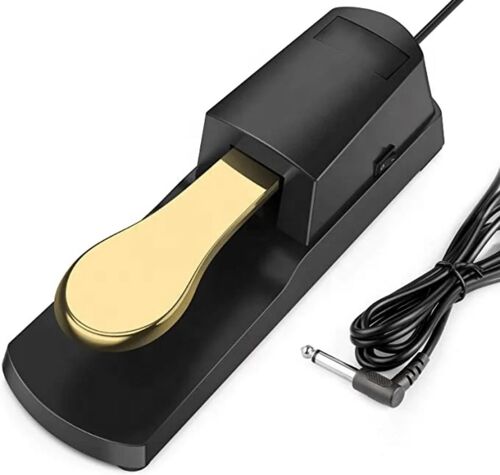 Piano sustain pedal