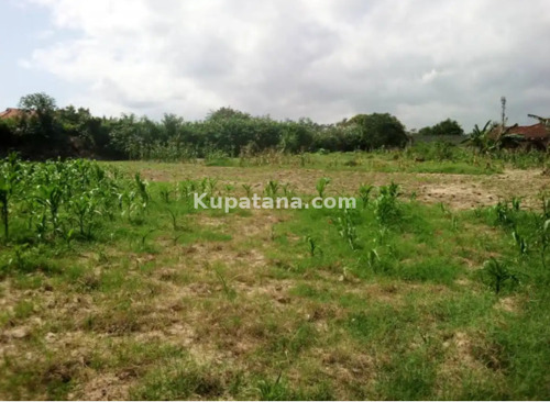 Beach plot for sale in Dar es Salaam