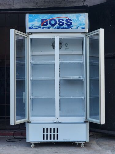 Boss display fridge double doo