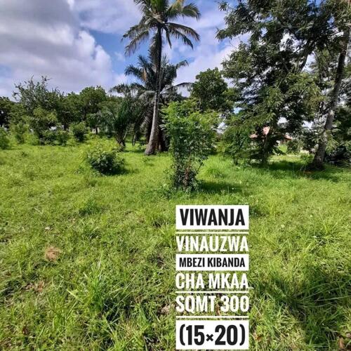 KIWANJA KINAUZWA MBEZI KIBANDA CHA MKAA