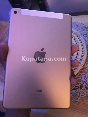 Ipad Mini4