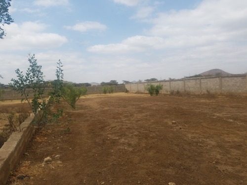 24 x 40 Plot for Sale – Kisongo