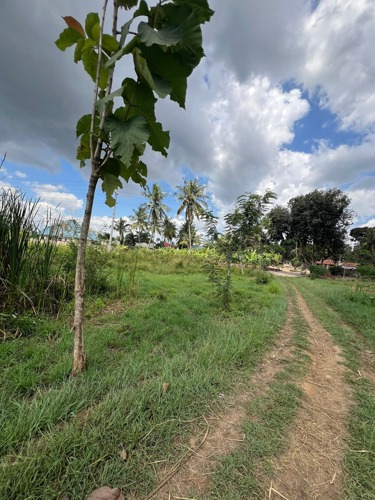 4 ACRS INDUSTRL PLOT MAPINGA