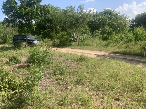 Plot for sale at Mapinga 