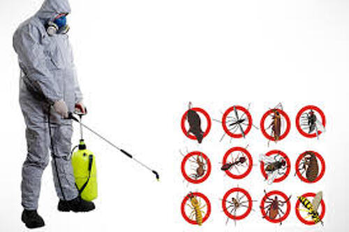 Huduma za Fumigation Dodoma