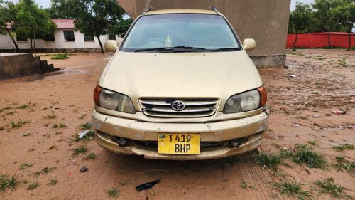 Ipsum nzima sana dodoma 3m