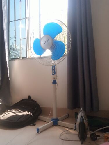 Feni / Fan 