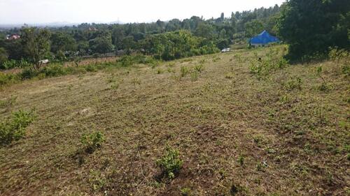 25 x 38 Mts Plot in Moshono Near Vineyard