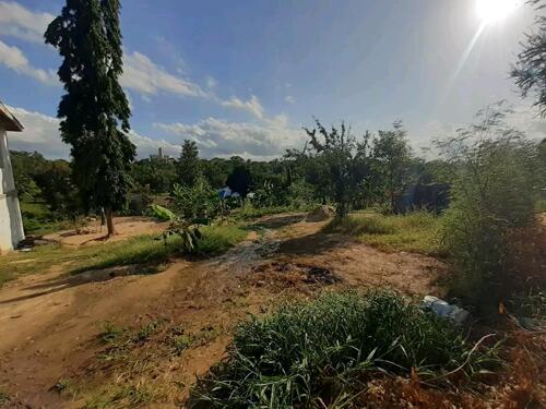 KIWANJA KINAUZWA KIMARA TEMBONI