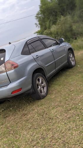 Tako la nyani lipo nwanza