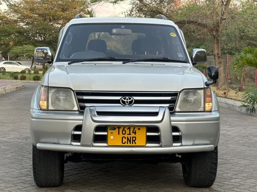Prado mchaga namba cnr