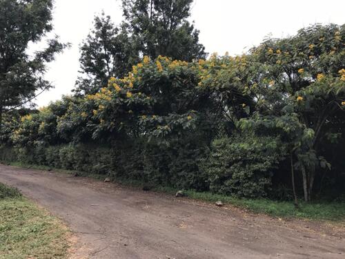 Land for sale in Arusha at Elegant area Sable Square Burka
