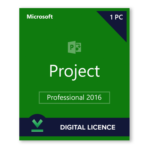 Project Pro 2016 Lifetime 1 pc