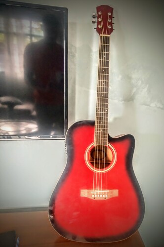 Acoustic Guitar