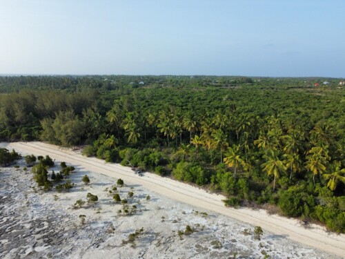 12 Hectares Prime Beach Plot $1.8M in Zanzibar