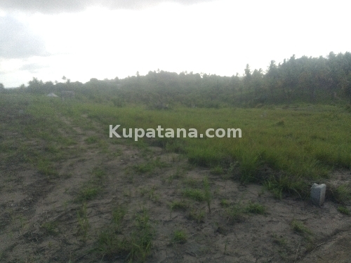 Viwanja Vinauzwa Vipi Vikindu Kazole