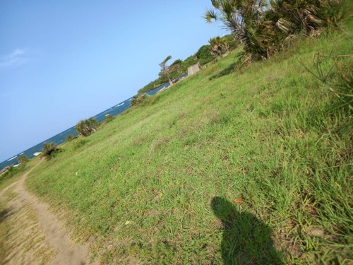 BEACH PLOTS KIMBIJI KIGAMBONI