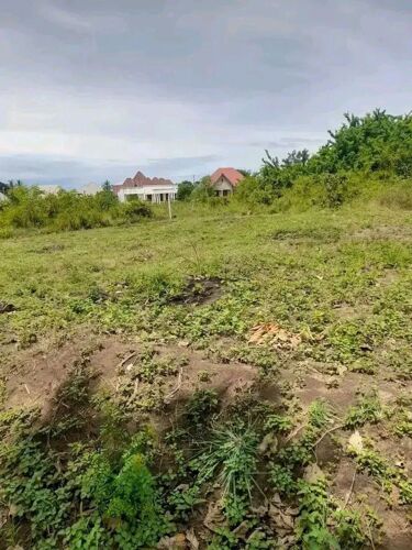 KIWANJA MADALE KINAUZWA