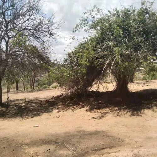 Kiwanja Kinauzwa Goba kwa awaz