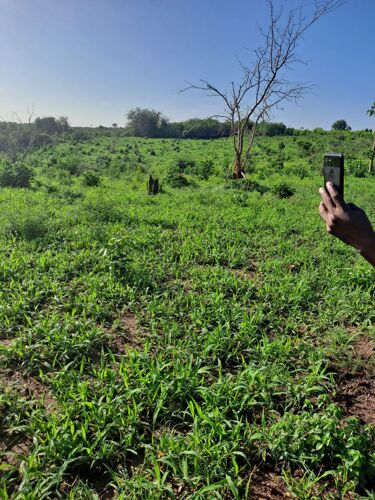 SHAMBA LINAUZWA BAGAMOYO PWANI