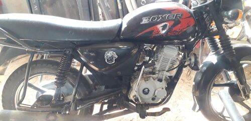 Boxer