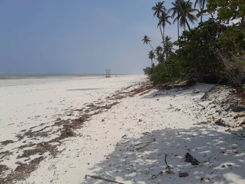 2,000 SQM. BEACH PLOT AT PAJE