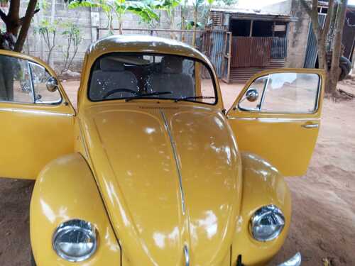Volkswagen Beetle Vintage 