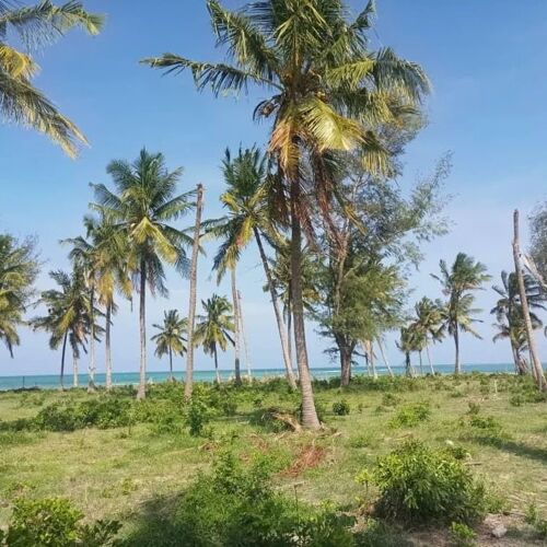 Buyuni Beach Plots Kigamboni 