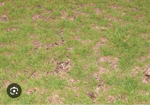 Kiwanja kinauzwa - Ekali 1