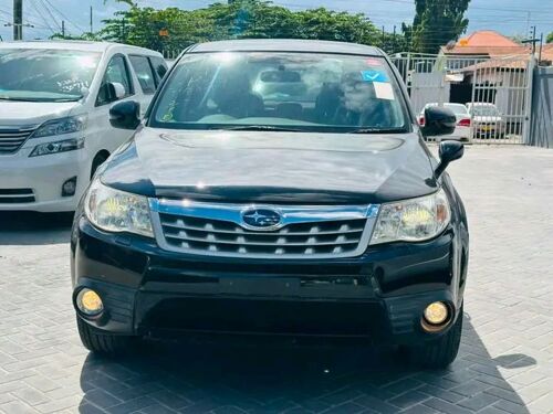SUBARU FOREST NAUZA NEW 