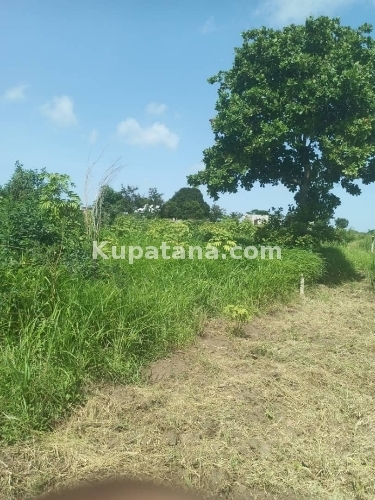 Plot For Sale At Mabwepande