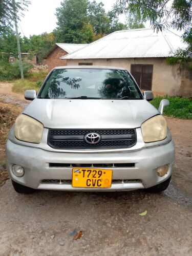 Toyota rav4 kill 