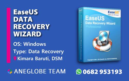 Data Recovery Program Tanzania