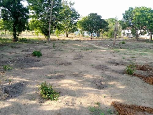 Plot nauza maili moja