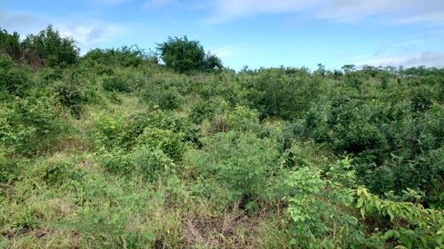 Shamba la ekari 5 Bagamoyo 