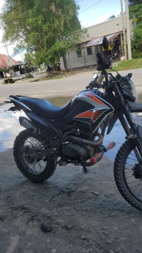 Snoray  Promax 