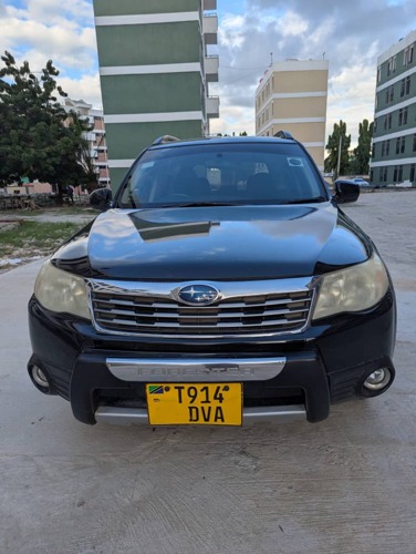 Forester 15.2m