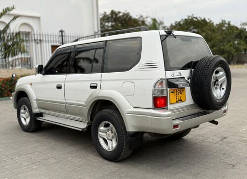 Prado mchaga Petrol 