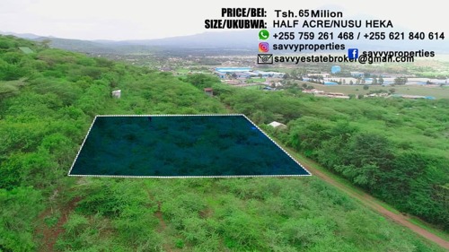 HILL SIDE PLOT 1/2 ACRE  NEAR NEAR BRAEURN FOR SALE