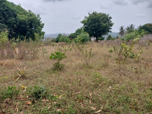 Kiwanja Pugu sekondari 