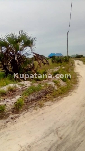 Viwanja Vya Sqwata For Sale KIGAMBONI JIJINI Dar At Avic Town Call 0784862313