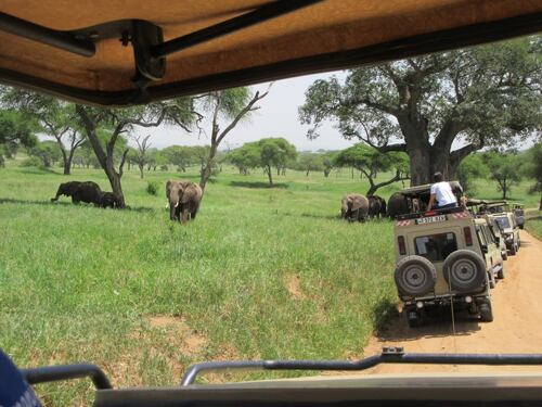 5 Days Tanzania Budget Camping Safari Leken Adventure