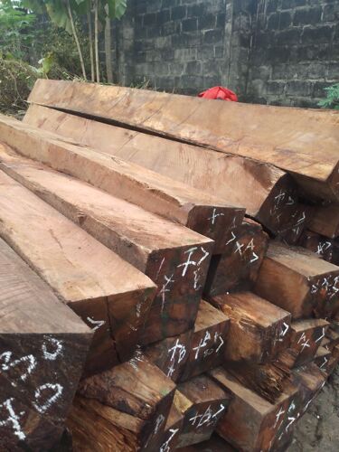 HARD WOOD SLIPPERS 