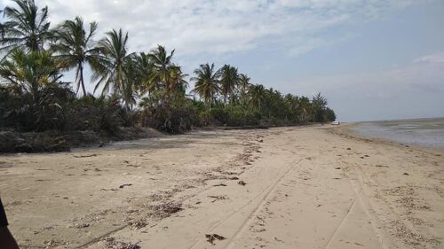 40 ACRES BEACH LAND IN PANGANI