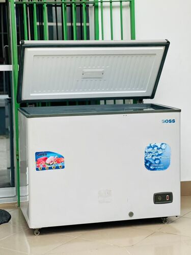 Boss deep freezer liter 300L
