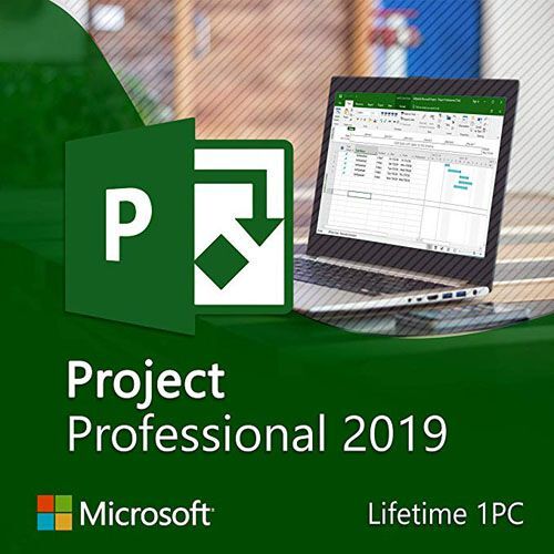 Ms project pro 2019